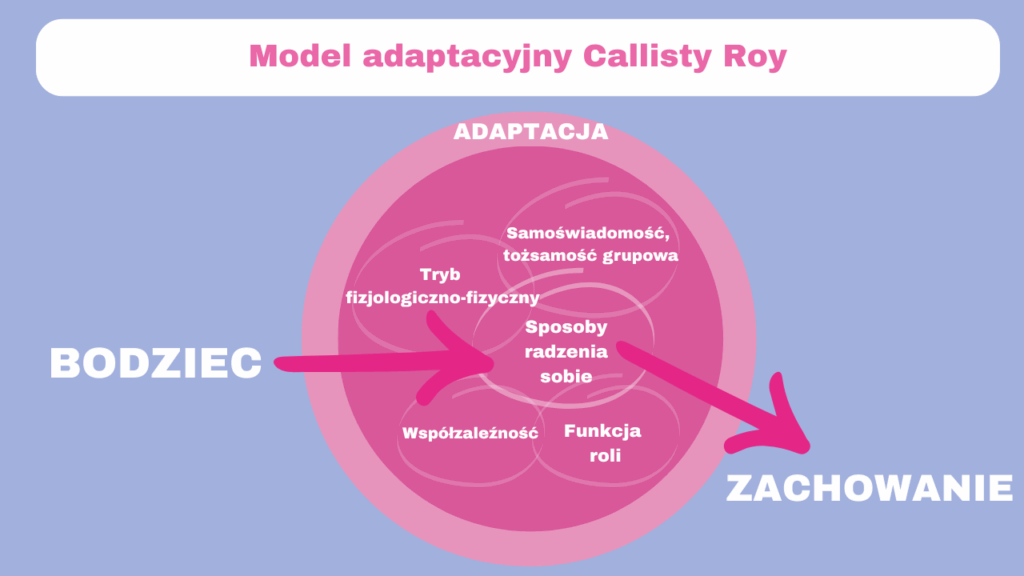 model-adaptacyjny-callisty-roy
