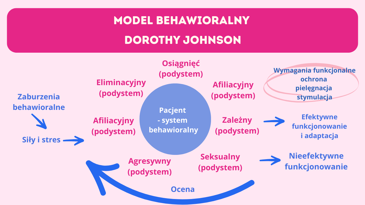 model-opieki-behawioralny-dorothy-johnson
