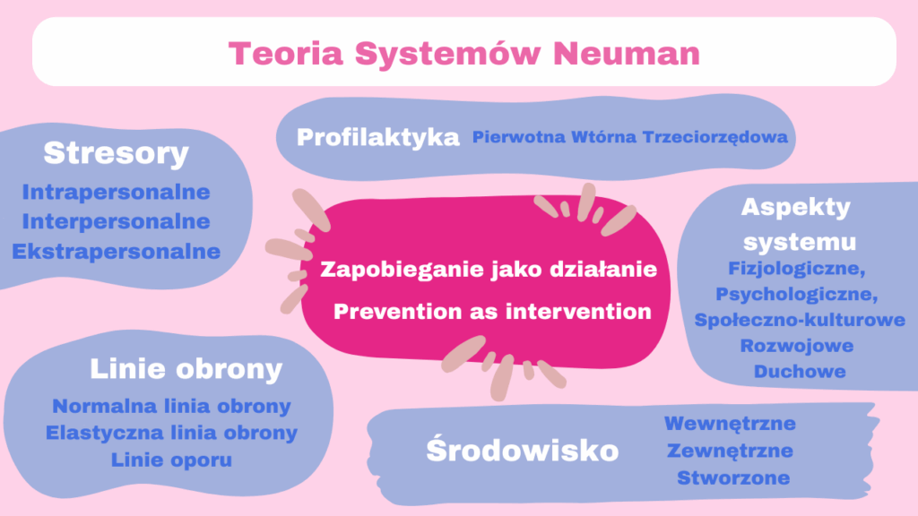 model-systemow-neuman