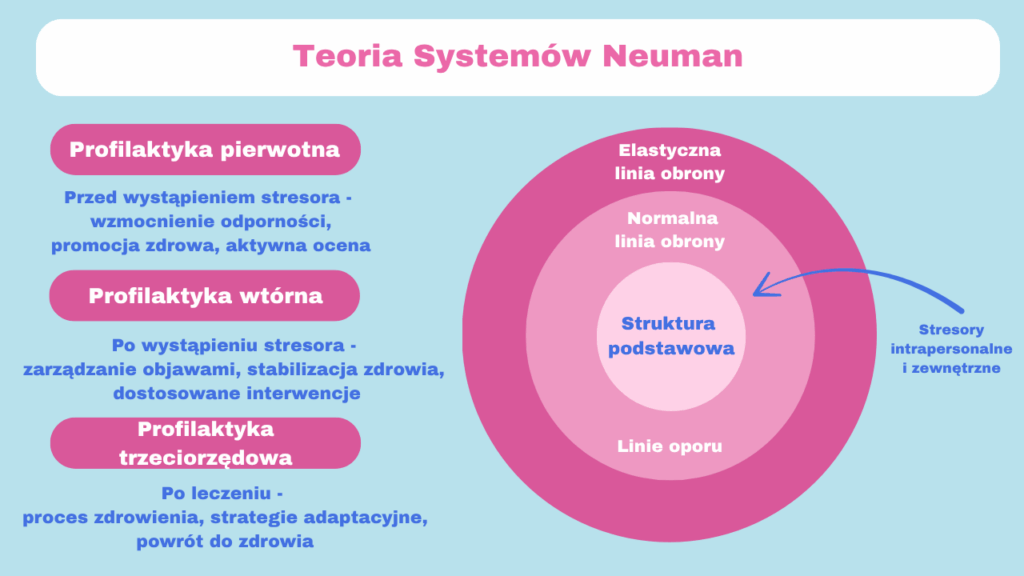 teoria systemów Neuman