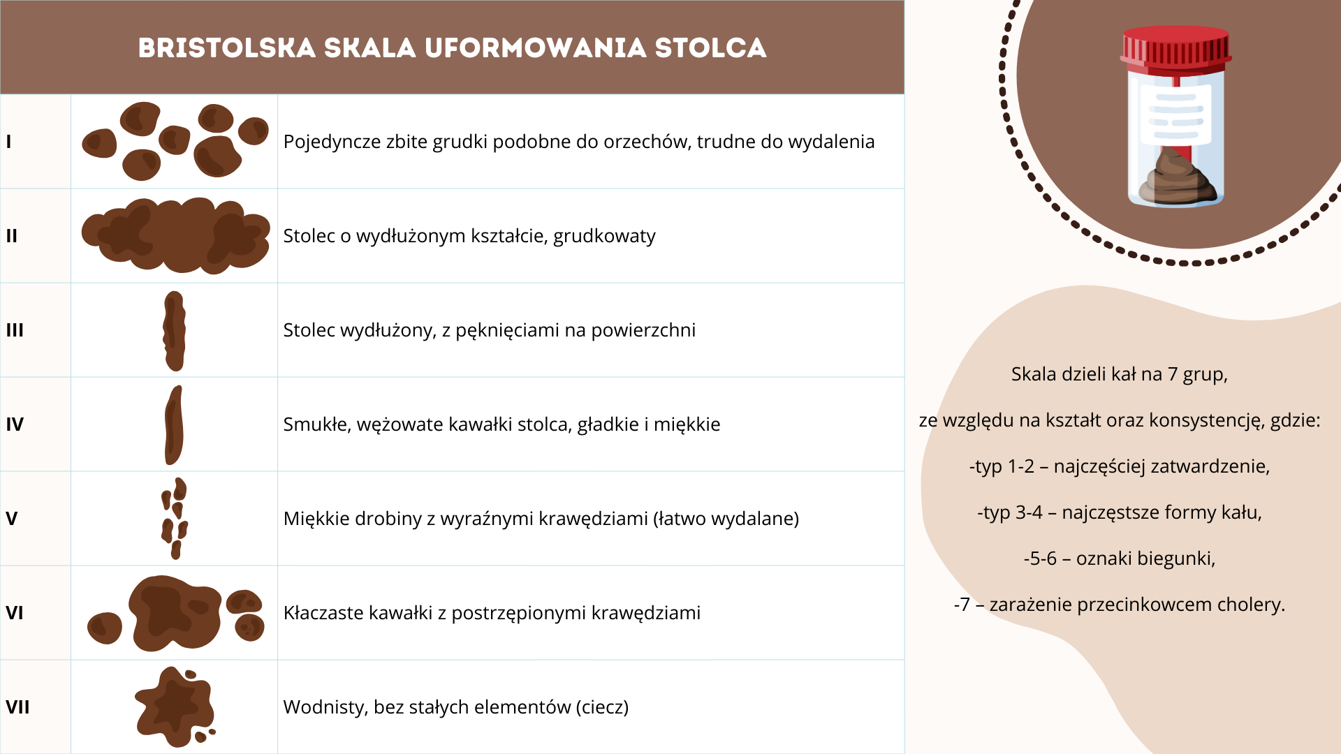 bristolska skala uformowania stolca