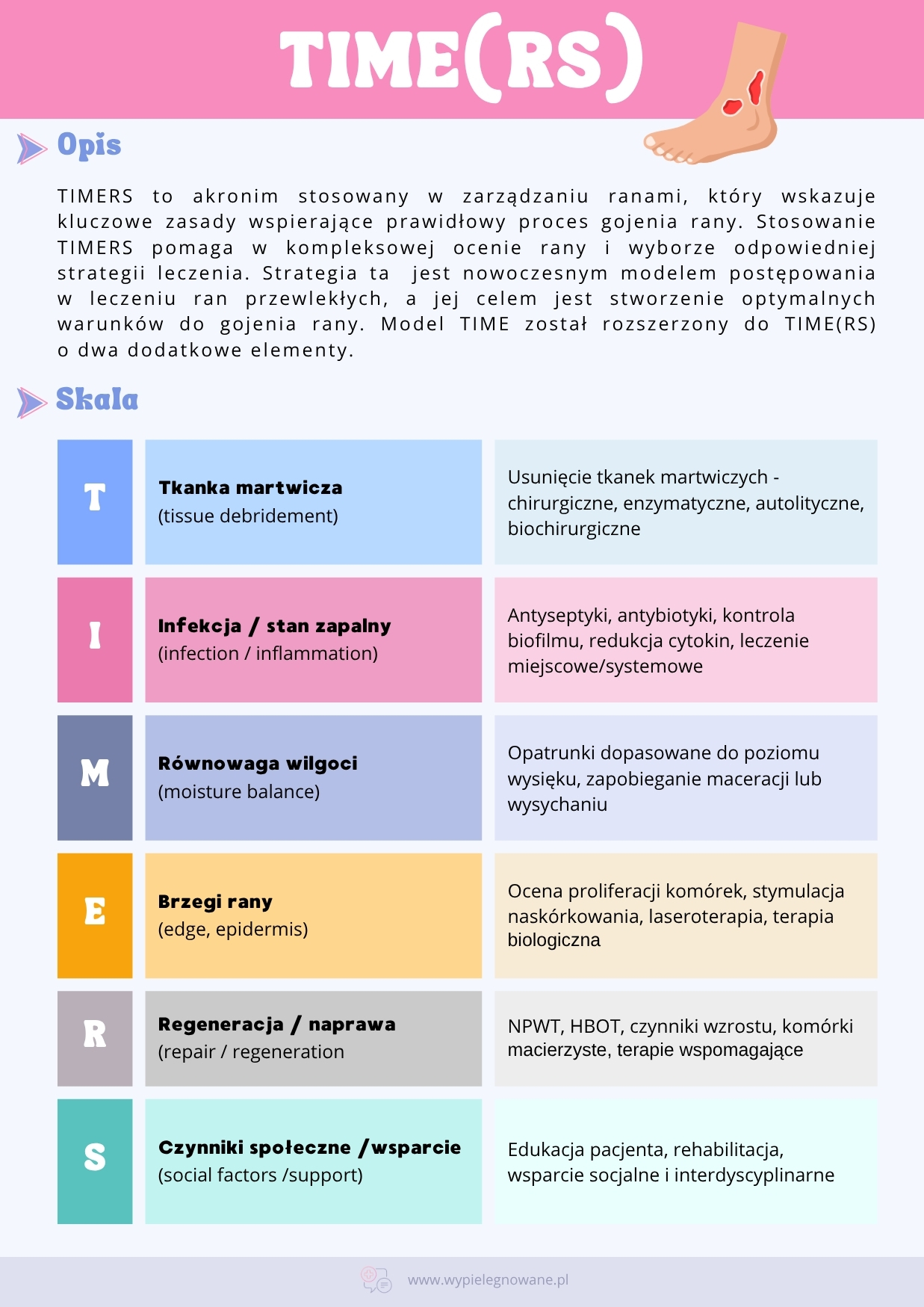 Strategia TIMERS