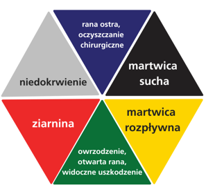 kolorowa skala oceny rany