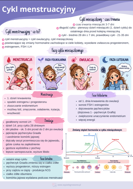 cykl menstruacyjny